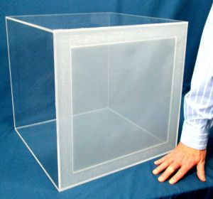 Acrylic insect cage