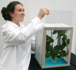 Insect cage with clear sliding front 