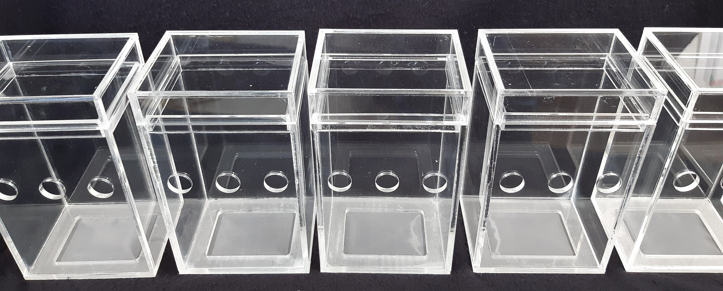 Collection of acrylic insect cages